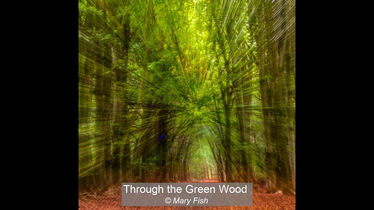 Through the Green Wood